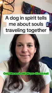 Dog Messages from The Stars