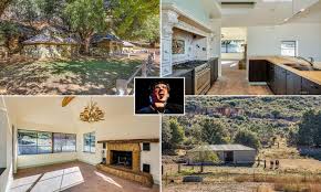 Tim is a native of bloomington, indiana and has created works in the cities of london, gothenburg, brasilia. Inside The Home Of The Hippie Mafia Youtube Star Logan Paul Buys 1m Sprawling La Compound Daily Mail Online