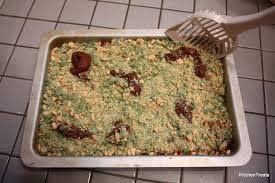 I present the cat litter cake: Halloween Is Almost Here Kitty Litter Cake For Everyone Kitchen Treats
