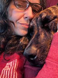 Dog baiting incident in Logan area