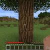 Bügelperlen vorlagen zum ausdrucken würfel basteln bastelei minecraft blöcke minecraft ideen minecraft zeichnungen minecraft spielzeug. Https Encrypted Tbn0 Gstatic Com Images Q Tbn And9gct9c8lrcss9 2 Dr7wgp0tyffebunzctanpb22hsjlkb4kxfkds Usqp Cau