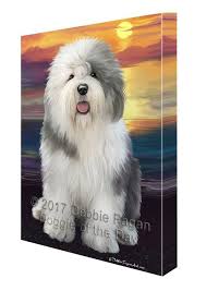 Old English Sheepdog Dog Wall Art Canvas Cv202 English Sheepdog Dog Dog Wall Art Old English Sheepdog