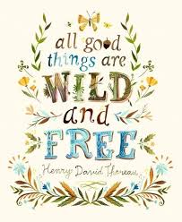 Darkness cannot drive out darkness: Hippie Peace Quotes Tumblr Novocom Top