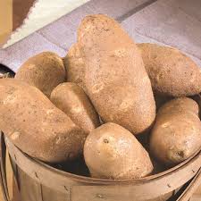 Of potatoes per person each year. Goldrush Potatoes Gurney S Seed Nursery Co