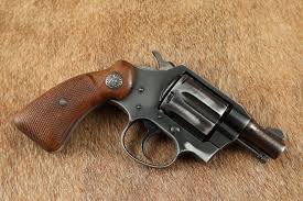 Image result for Grace Silver 1993 Colt