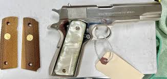 Image result for Beige 1983 Colt