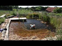 Maybe you would like to learn more about one of these? How To Build A Diy Organic Pool Natural Pool In 3 Minutes Youtube