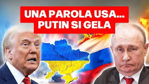 WTF: THE POSSESSION OF DAVID O'REILLY