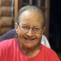 Paula Sue Blevins Obituary (2024)