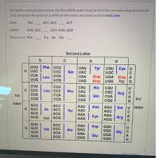 The process by which mrna directs protein synthesis with the assistance of trna is called translation. Fill Out The Missing Letters Below Use The Mrna Chegg Com