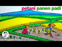 Murry) ayem tentrem ing ndesane pak tani urip rukun bebarengan mbangun ndeso sak kancane pak tani. Info Terkini 28 Gambar Petani Menanam Padi Di Sawah Kartun