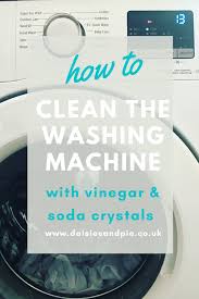 How To Clean The Washing Machine Daisies Pie