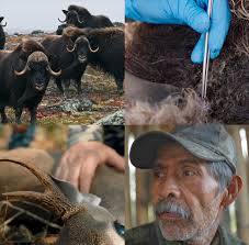 NEWS — Cabela Family Foundation