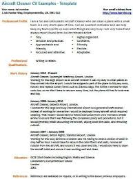 Aircraft Cleaner Cv Example Job Resume Samples Cv Examples Resume Examples