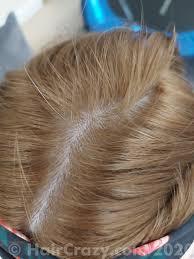 This table below illustrates the undercoats which occur at every hair level. Natural Brown To Level 7 8 Blonde Forums Haircrazy Com
