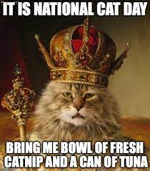 We did not find results for: National Cat Day Memes