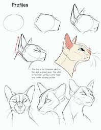 Cats Art Drawing Character Design Cats Drawing Character Design Katzen Kunst Zeichnung Charakter Cat Drawing Tutorial Animal Drawings Warrior Cat Drawings