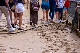 Trend Google: siena palio
