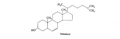 Maybe you would like to learn more about one of these? Steroid Intinya Dibentuk Dari Empat Cincin Terlakur Belajar Kimia