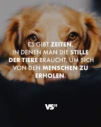 Es gibt Zeiten, in denen man die Stille der Tiere braucht, um sich von den  Menschen zu erholen. - VISUAL STATEMENTS®