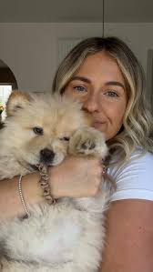 Caring for a Chow Chow Puppy: Tips and Love