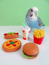 Holiday Fun Page 6 Budgies Budgies Bird Angry Bird Plush