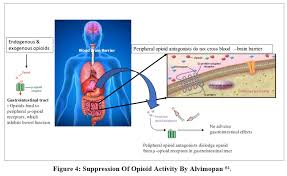 Image result for Alvimopan