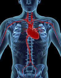 Acute coronary syndrome (acs) is a syndrome (a set of signs and symptoms) due to decreased blood flow in the coronary arteries such that part of the heart muscle is unable to function properly or dies. Look Ahead At Icd 10 Cm In 2018 Part 2 Aapc Knowledge Center