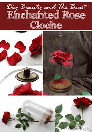 Discover more posts about enchanted rose. Diy Beauty And The Beast Enchanted Rose Cloche Diy Adulation Beauty And The Beast Rose Diy Beauty And The Beast Diy Cloche Diy