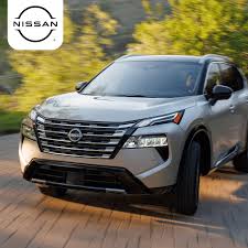 Image result for rogue