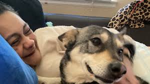 Fundraiser by Iris Ramirez : Donate to Give Iris's Mom a Fresh Start