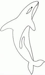 11 Top Coloriage Orque Photos Coloriage Animaux Coloriage Livre Coloriage