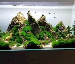 Glorious Amazing Tips Your New Aquarium Decorations Aquarium Rocks Aquarium Freshwater Aquarium
