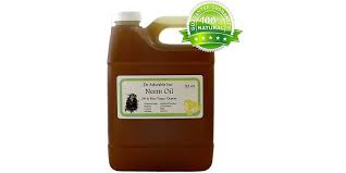Donde Comprar Aceite De Neem Barato Entra Y Te Lo Cuento