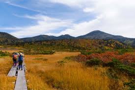 Image result for Hakkoda Walk