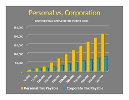 Sole Proprietorship Chart Table Graphs