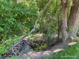 Where in the World is Jennifer?