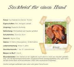 Dazu sucht sich der schüle einen beruf seiner wahl aus. Steckbrief Aufbau Beispiel Und Muster Losung