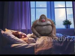 Uh Oh Stinky In The Window Funny Memes Memes Stinky