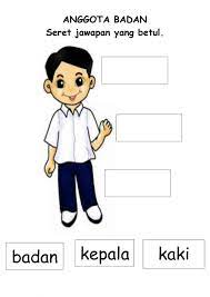 Kenali anggota badan bahagian 1. Actividad De Anggota Badan Saya