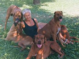 Home Leoridge Kennel