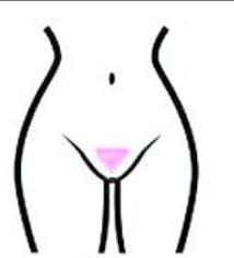 20 of the best ideas for female pubic hairstyles a different organic and natural hairstyle that is very simple to layout is the gamine haircut. Female Pubic Hairstyles Which One Looks Good On You Naked