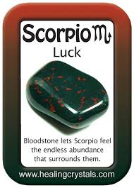 Bloodstone Works With Scorpio To Attract Luck Crystal Healing Stones Crystals Scorpio