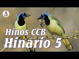 Hinos ccb tocados que chegam ao profundo da nossa alma! 2 Horas De Belos Hinos Ccb Cantados Hinario 5 Ccb Lindos Hinos Cantados Completo Youtube En 2021 Cantando Lindo Youtube