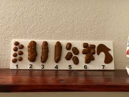 Bristol Stool Chart Inspired By Dr Oz By Mdesigner423
