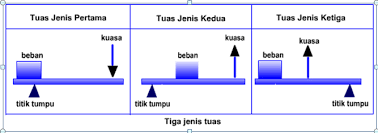 Contoh lain dari tuas adalah pembuka. Fisika Di Tubuh Manusia Hey Doc