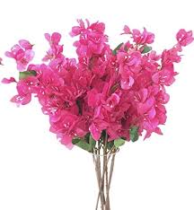 We did not find results for: Jiumengya 5pcs Bougainvillea Glabra Artificial Floor Mounted Fake Bougainvillea Spectabilis Flower 31 5 For Wedding Centerpieces Decorative Flowers Hot Pink Buy Online In Trinidad And Tobago At Trinidad Desertcart Com Productid 32304013