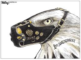 Constitution protects the freedom of speech, religion and the press. Day Bill In Defense Of 1st Amendment Florida Politics Campaigns Elections Lobbying Government