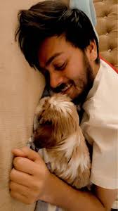 Great Dane Puppies for sale in Kota