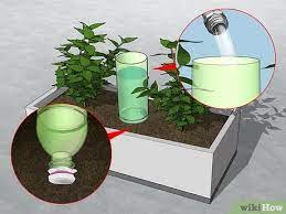 One common solution is to pay someone to water your indoor and outdoor container plants. 3 Easy Ways To Keep Outdoor Plants Watered When You Re On Vacation